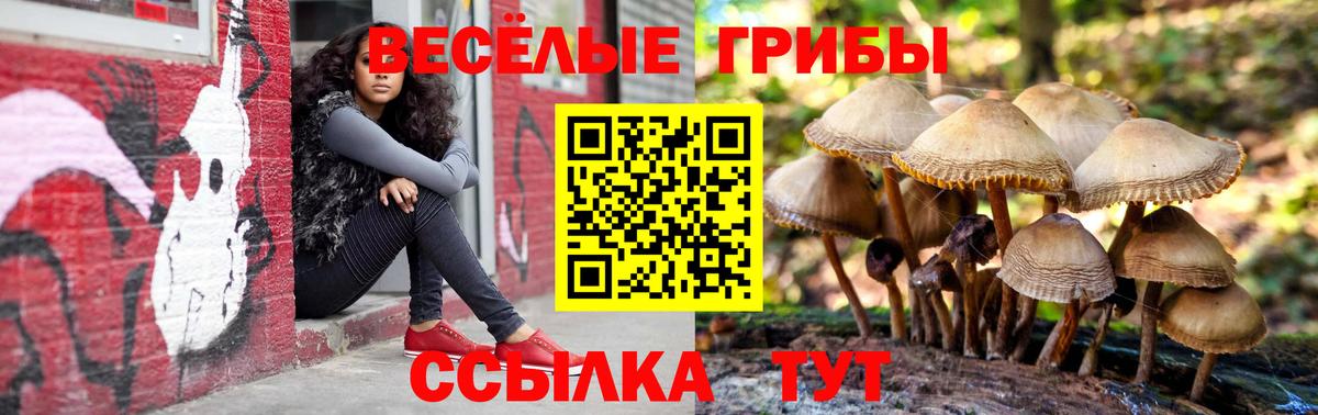 Галлюциногенные грибы Magic Shrooms Бердск