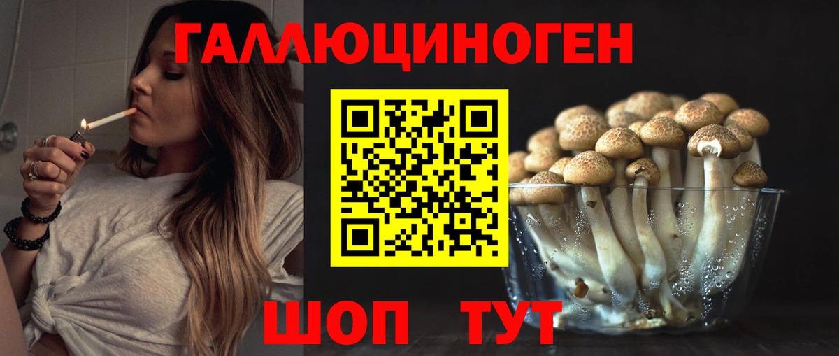 Псилоцибиновые грибы мухоморы  Вход с VPN  Бердск 